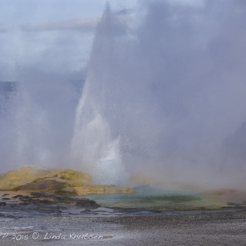 Yellowstone NP Feb2015