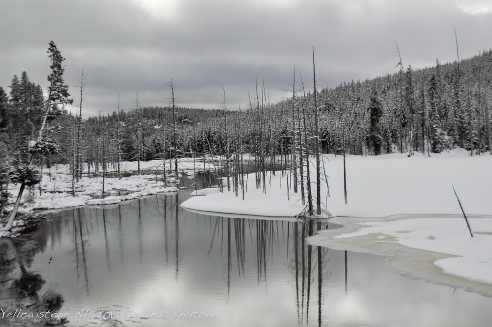 LindaKnutsen Yellowstone 2015  DSC0378-Web
