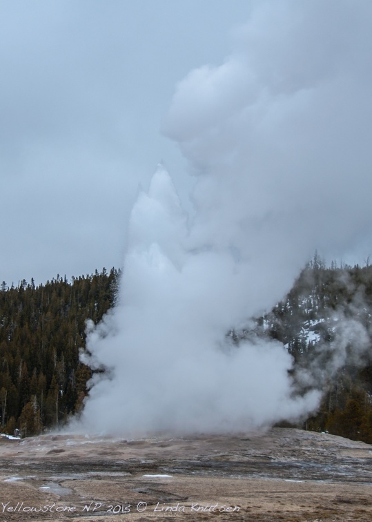 LindaKnutsen Yellowstone 2015  DSC1185-Web