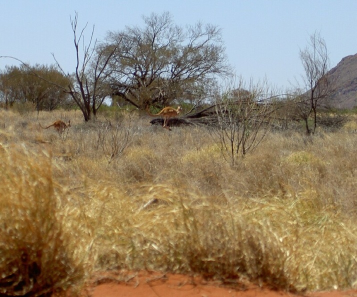 3_Outback_PICT5222.jpg