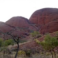 3 Uluru PICT5056
