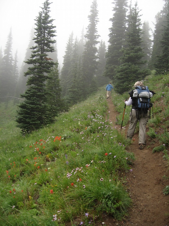 MtRainier Aug2008 IMG 0429A