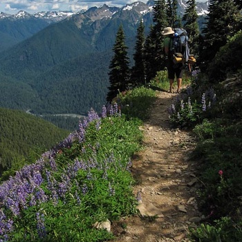 Olympic NP High Divide Aug2013