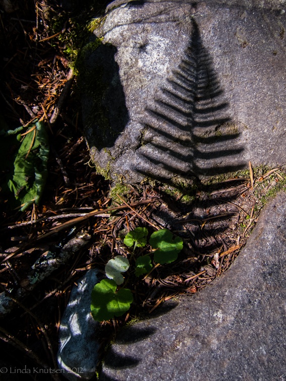 WT IMG 5924 BoxCanyon-ReflectionLakes Web