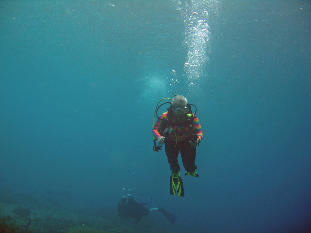 Linda Dive 14 Petries Pillar IMG 0205 edited 1