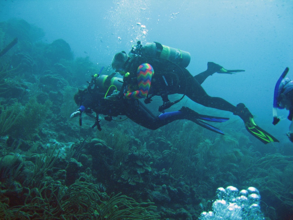 Linda Dive 14 Petries Pillar IMG 0184 edited 1