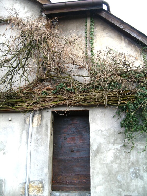 SerbiaFranceMar08 Annecy IMG 0479