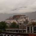 LesterKnutsen_Lhasa_2009_DSC_2010.jpg