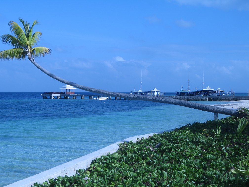 Indonesia Wakatobi Sep2008 IMG 1182