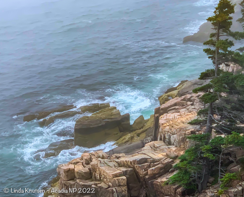 AcadiaNP-10