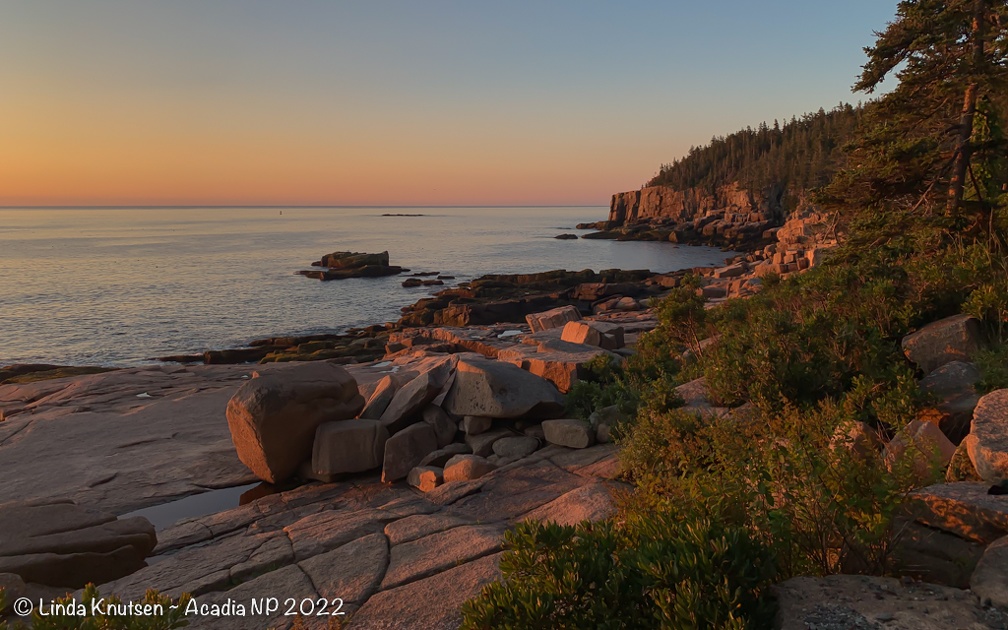 AcadiaNP-11