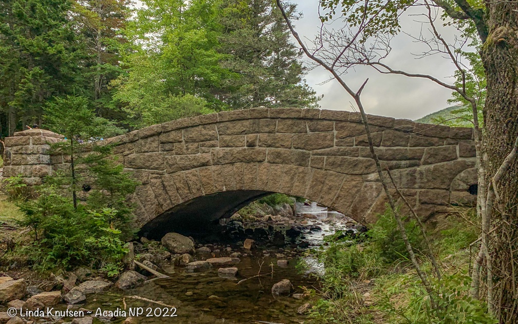 AcadiaNP-19