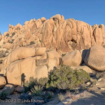 Joshua Tree NP Nov2022