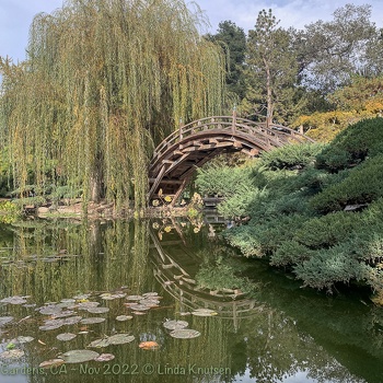 Huntington Gardens CA Nov2022