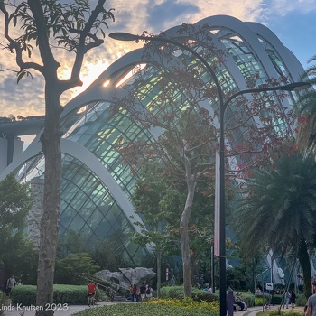 Gardens BxB Cloud Forest