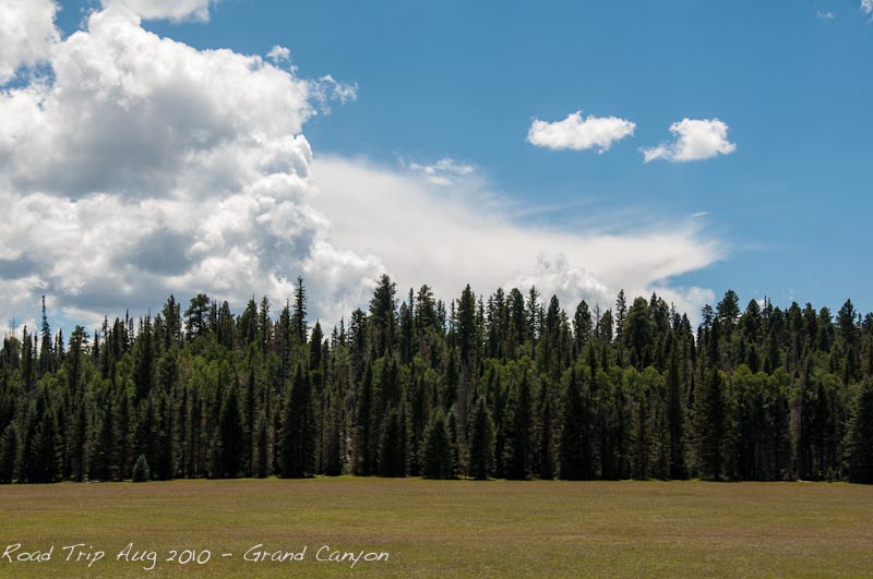 GCKaibabPlateau Aug2010 DSC7014 Web
