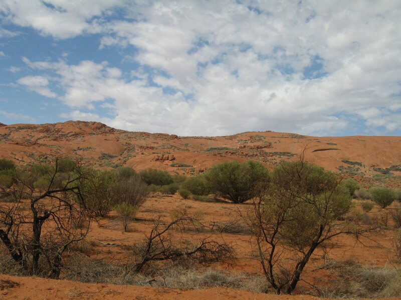 Outback IMG 0340 002