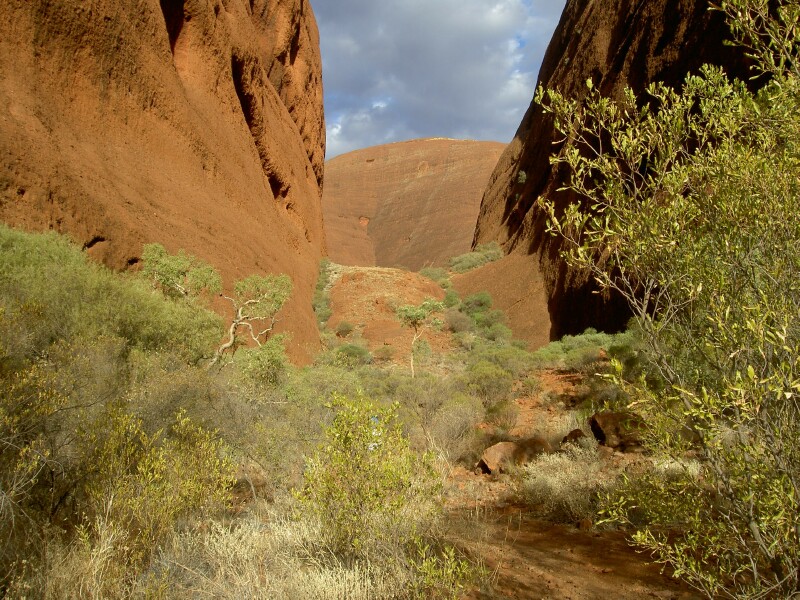 3 Uluru PICT5080