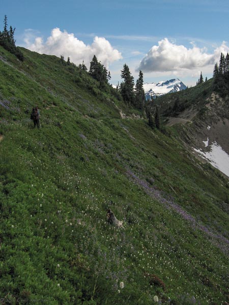 Day2 OlympicHighDivide Aug2013 IMG 5959 Web