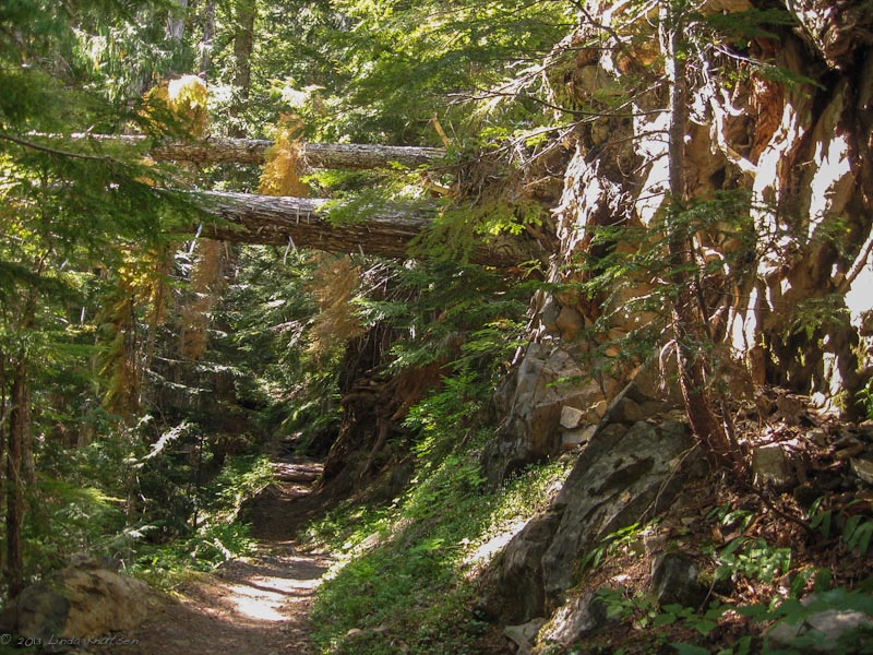 Day1 OlympicHighDivide Aug2013 IMG 5787 Web
