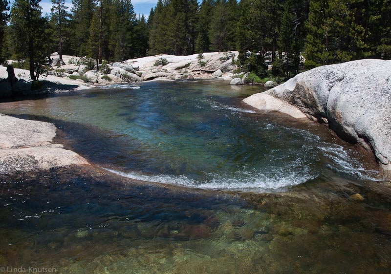 HighSierra Jul2010 DSC4648 Web