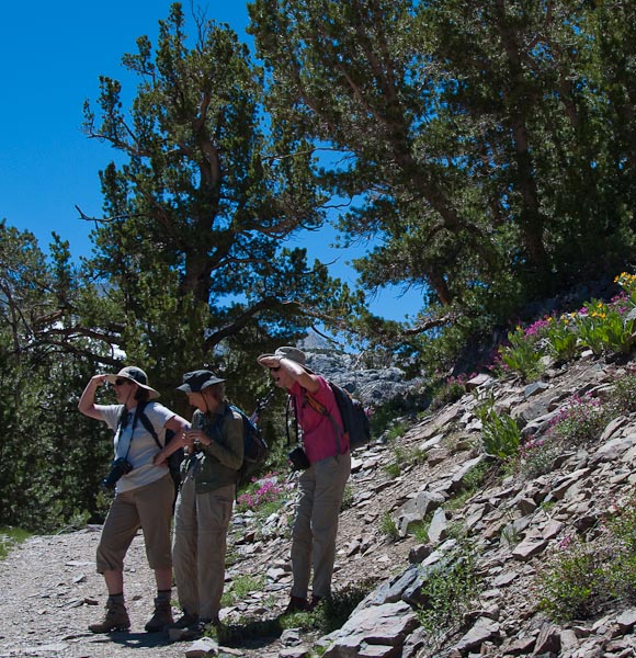 HighSierra Jul2010 DSC4595 Web