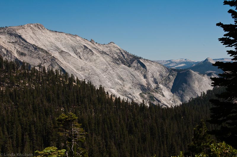 HighSierra Jul2010 DSC4535 Web