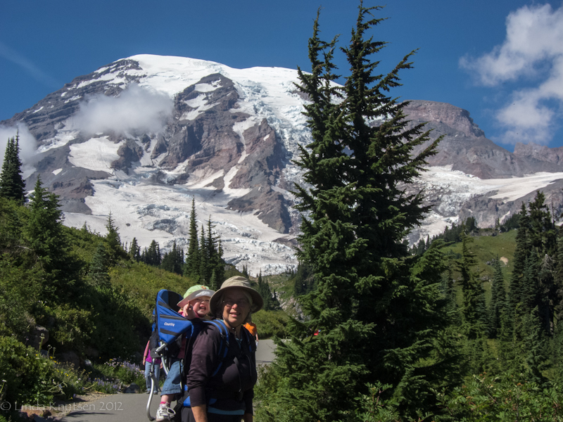 WT IMG 6003 Paradise Web