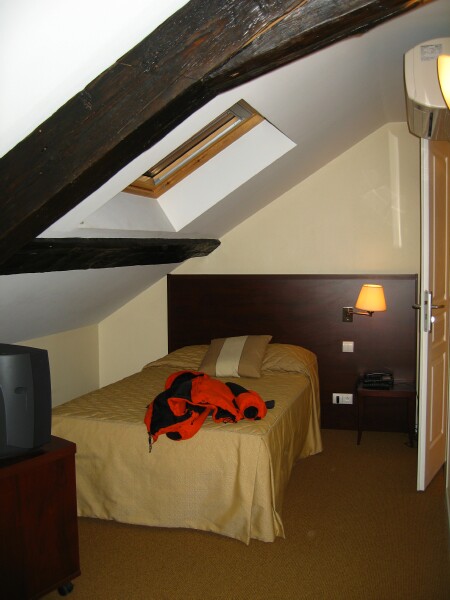 SerbiaFranceMar08 Annecy IMG 0494