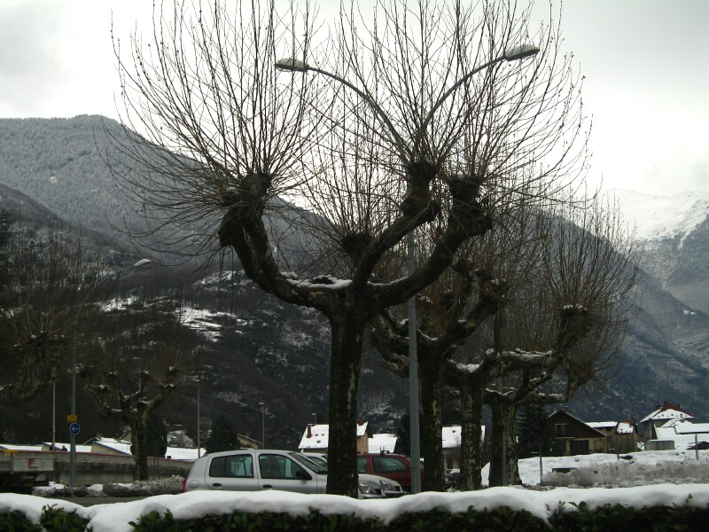 SerbiaFranceMar08 ValdIsere IMG 0428