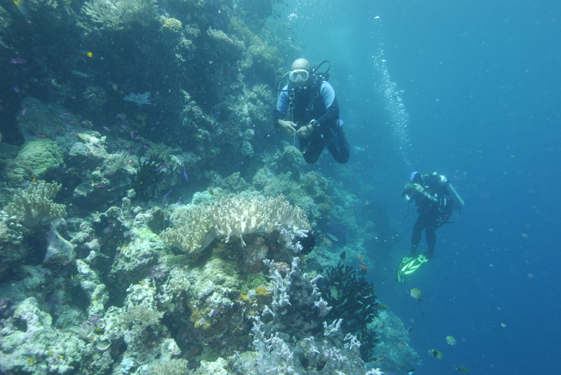 Deni Wakatobi 20080907 DSC3963 NEF