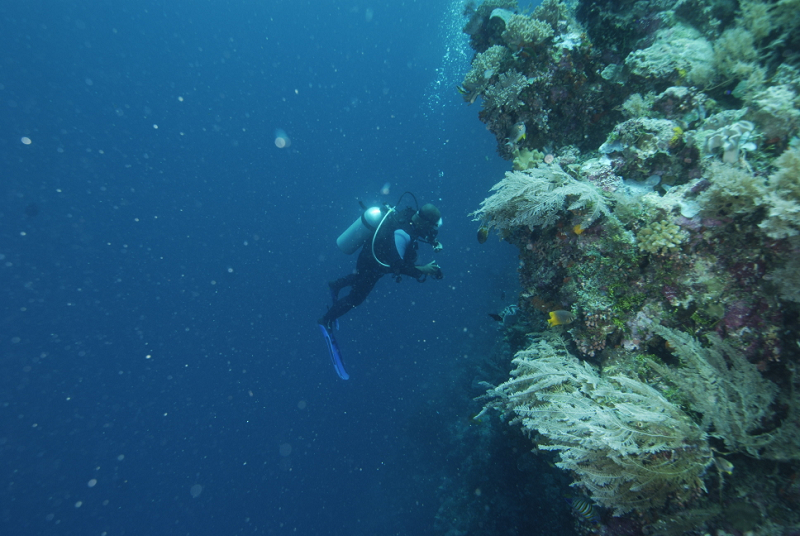 Deni Wakatobi 20080907 DSC3950 NEF